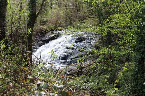 photo no. 13