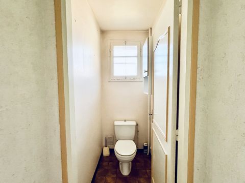 photo no. 12
