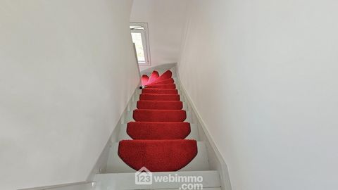 photo no. 7
