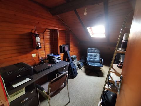 photo no. 17