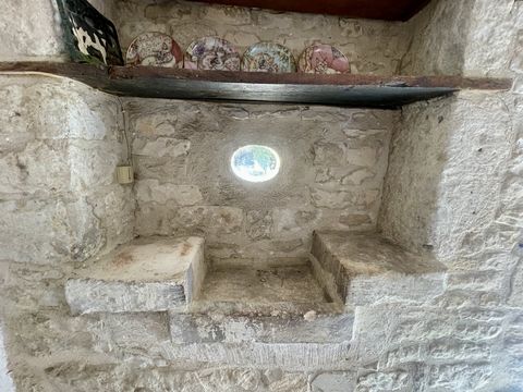 photo no. 6