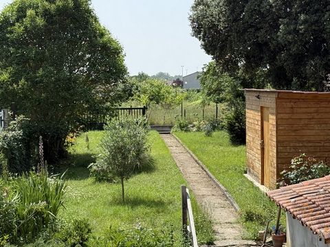 photo no. 17