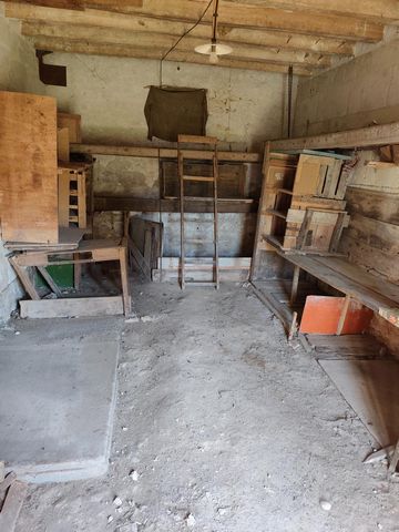 photo no. 13