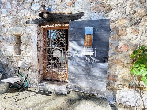 photo no. 10
