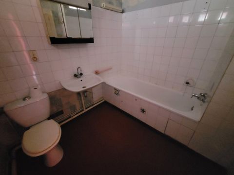 photo no. 4