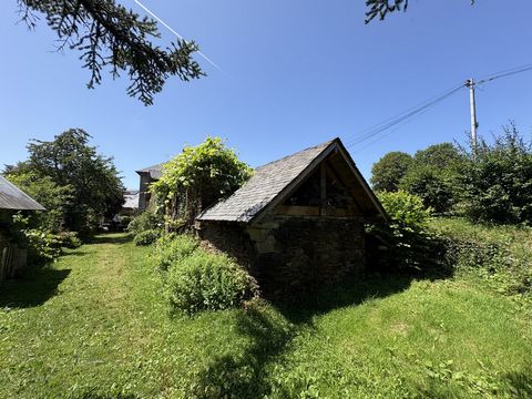 photo no. 16