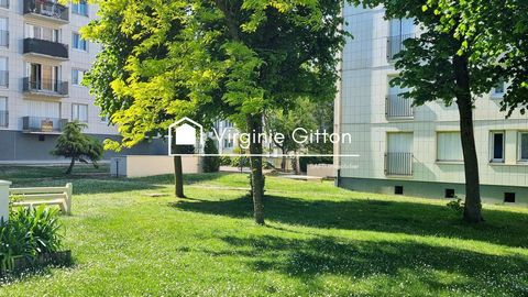 photo no. 11
