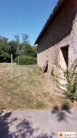photo no. 4