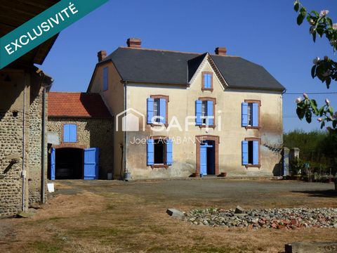 photo no. 13
