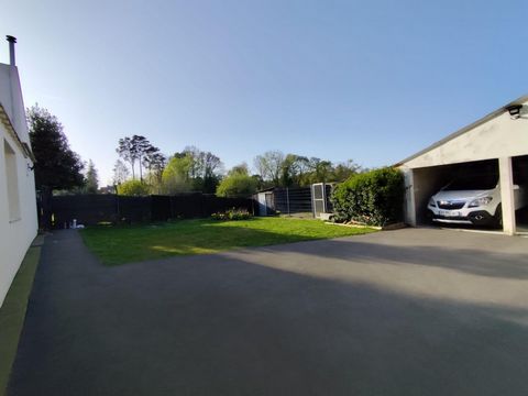 photo no. 11