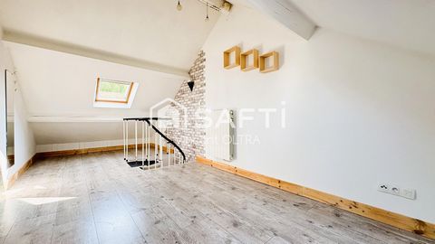 photo no. 6