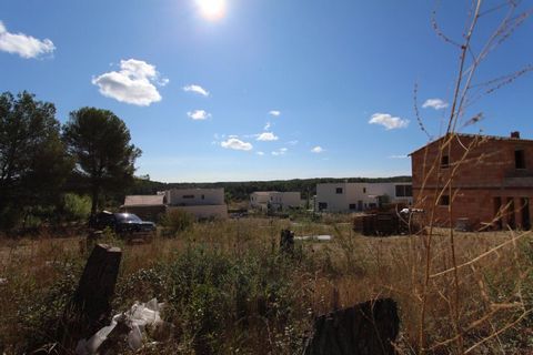 photo no. 5