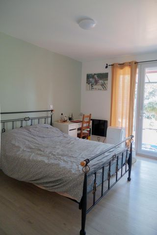 photo no. 11