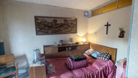photo no. 12