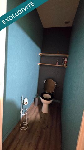 photo no. 15