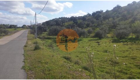 Rustic land in Alcoutim for sale with varied fruit trees and vineyard. Very good access, along the road of the river Guadiana. 2 items in total of 3.920 m2. The terrain has an artesian hole with 90m depth and electricity pole next to the site. Energy...