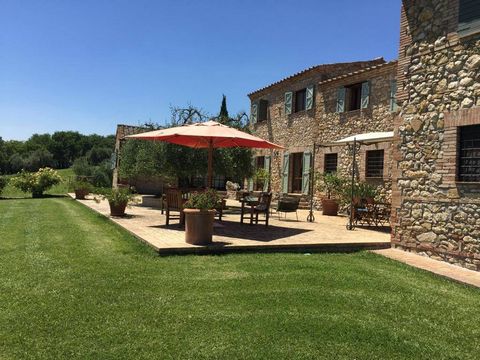 AMELIA (TR), surroundings: farm of about 40 hectares with farmhouse and annexes composed of: * 22 hectares of irrigated arable land with pond and well; * 400 secular olive trees spread over 8 hectares; * 6,000 sqm vineyard of cabernet sauvignon, merl...