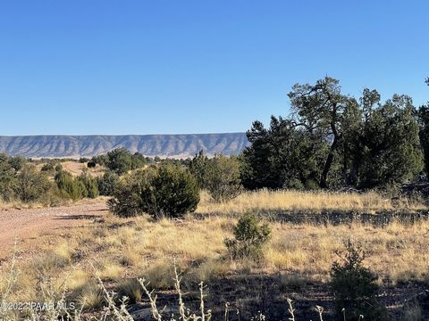 Just over 2 acres, level to gentle slope. Nice mix of tall pinon pines and juniper trees. This property is out quite a ways but the road is good all the way to the lot. Be blown away by the Dark Skies of Northern Arizona where you can see the Milky W...