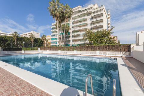 Acogedor apartamento situado en una zona tranquila al final de la Playa de Gandia, con hospedaje para 6 personas. El complejo residencial dispone de una piscina comunitaria de cloro, con unas dimensiones de 17 m x 8 m y una profundidad que va de 0.9 ...