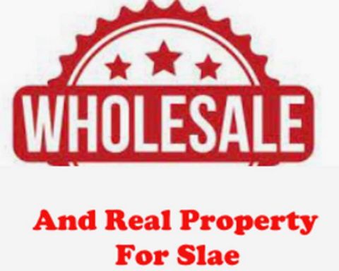 Plaza Commercial property and business for sale, $950,000; Vegetable and meat wholeSale Business, Net Makeover $200K /yr. Ask $695,000 for property Only, not including Business;