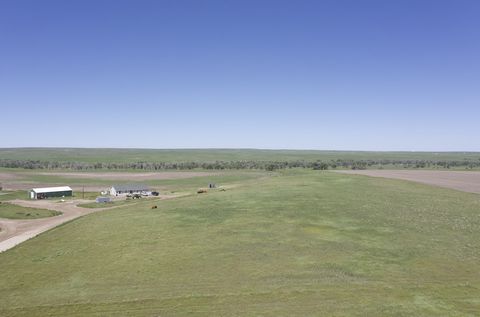 Nestled in the countryside of Agate, Colorado, this 320-acre property is a true gem that promises Eastern Colorado beauty. Perched high on a gentle slope, the property boasts panoramic views of the Bijou Creek, just West of the property, creating an ...