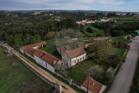 Cette propriété est située dans le village de Casal da Marinha, qui fait partie de la municipalité de Caldas da Rainha. C’est un quartier calme et serein, parfait pour ceux qui recherchent un environnement paisible. La propriété se compose de trois é...
