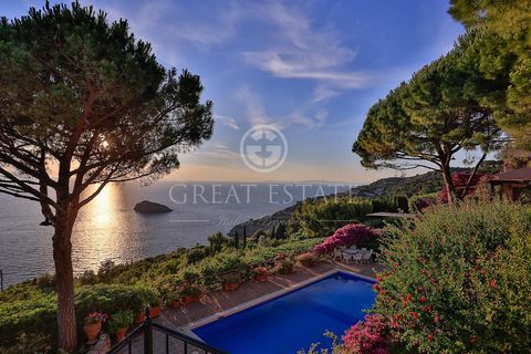 Property in Monte Argentario, Cala Piccola 10,000 sqm of garden Manor villa 480 sqm on three levels Caretaker's apartment, three annexes with two bedrooms, bathrooms, living room and kitchenette, annex used as a games room with bathroom, swimming poo...