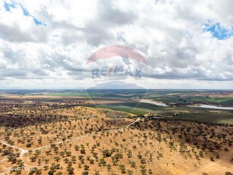 Homeland located in Brinches, Serpa, Beja with 117 ha, all fenced, parked and with water points in all parks. Access by dirt road. The Estate is composed of azinho recent (replanting) mounted, arable culture and rural construction. In the Estate ther...