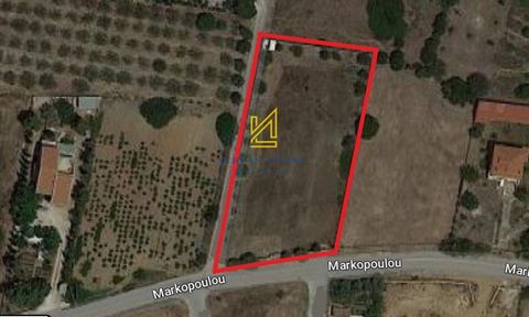 Land Description in Markopoulo Mesogeas, Porto Rafti. Property Features: Presenting an exceptional plot of land for sale in Markopoulo Mesogeas, in the Porto Rafti area. The land extends to 3,000 sq.m. and is located outside the urban plan, offering ...