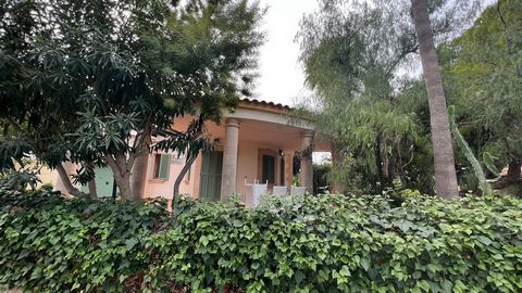 Detached house in Bonaire (Alcudia) Charming villa in one of the best areas of the north of Mallorca, located in the urbanization of Bonaire, surrounded by an environment of nature and tranquility, within walking distance of the crocodile marina and ...