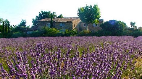 Sole Agent - Renovated historic stone mas for sale in the heart of the Luberon has four en-suite bedrooms with the possibility for a fifth. Double living rooms create a large, comfortable space to gather indoors. The entire house opens-up to large te...