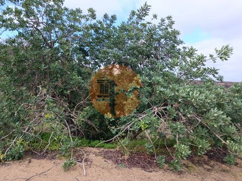 Terreno rústico com 3.800 m2, próximo a aldeia das Alcarias Grandes, em Castro Marim - Algarve. Bons acessos. No terreno há algumas árvores. Terreno com vista desafogada da Serra Algarvia. Parte plana para caravanas. Bom para agricultura, permacultur...