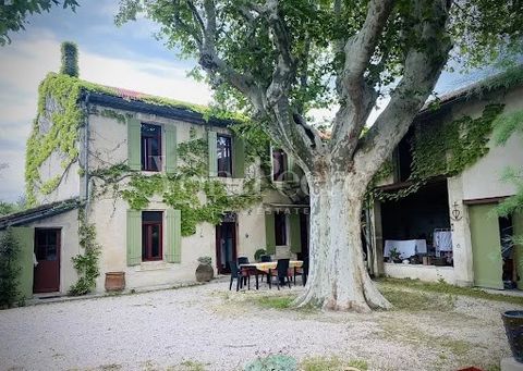 Au coeur des Alpilles, derrière la grille de ce charmant Mas de ville se cache un magnifique jardin où les essences rares côtoient la botanique emblématique de la Provence. Une magnifique fontaine trône au milieu de ce paradis et permet de s'y rafrai...