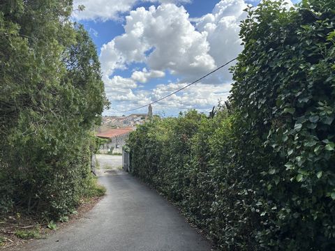 Cette belle maison bourgeoise de huit pièces , est située dans le joli village de Pennautier , très proche de Carcassonne et de son aéroport. Cette grande villa familiale , très bien exposée et surélevée , bénéficie d' une très belle vue sur les côte...