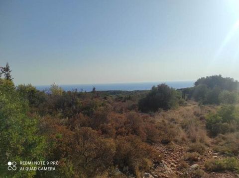 Description En vente Lopin de terre, Kiliomenos, 30.000 m2, Caractéristiques: Constructible, En amphithéâtre, Prix: 350.000€ Description detaillée Terrain panoramique d'une superficie totale de 30 000 m² dans la grande zone de Kiliomenos de Zante ver...