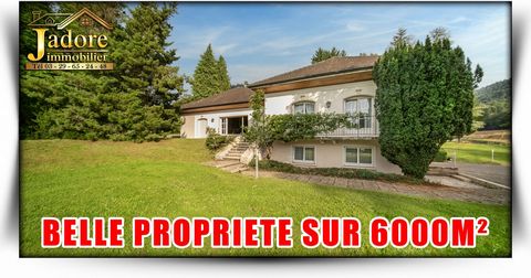 JADORE IMMOBILIER präsentiert Ihnen EXKLUSIV! Entdecken Sie dieses GROSSE ANWESEN auf einem Grundstück von 6000 m2, nur 5 Minuten von SAINT-DIE-DES-VOSGES entfernt! Mit seinen 3 Ebenen von jeweils mehr als 200 m2 bietet dieses Haus mehr als 600 m2 Wo...