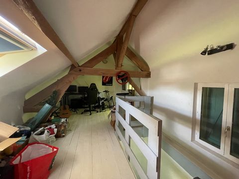 photo no. 12