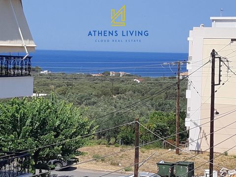 AUSSCHLIEßLICH. Eine schöne sonnige Wohnung mit Meerblick, nur 200 Meter vom Kyparissia-Platz und 650 Meter vom Strand entfernt. Etage: 2., in der Gegend: Kyparissia - Zentrum. Die Fläche des Grundstücks beträgt 78 qm. Es besteht aus: 2 Schlafzimmern...