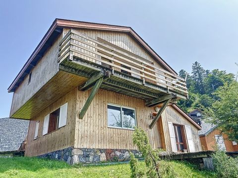 Discover this large chalet culminating the peaks of the Couserannais. In the heart of the resort of Guzet, this chalet is accessible by ski and car thanks to its nearby link slope and car park. The ground floor offers a large living room of 25 m2 ope...