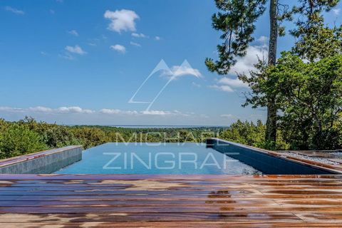 Situata in un'esclusiva zona residenziale a LA TESTE DE BUCH, questa lussuosa villa offre una vista mozzafiato sulla foresta e sul mare. Con la sua architettura elegante e contemporanea, questa proprietà è un vero e proprio gioiello immobiliare. La v...