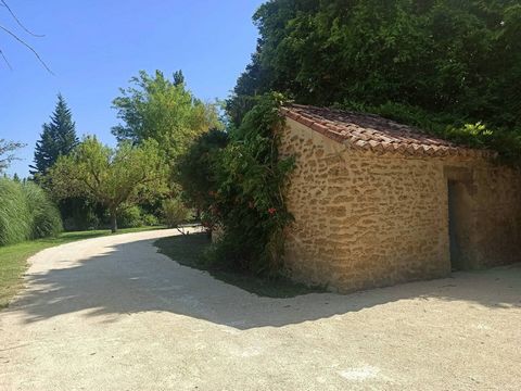 photo no. 15