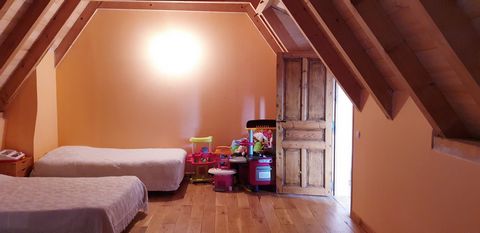 photo no. 11