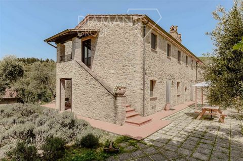 Magione (PG), surroundings: Agricultural and agritourism company with a stone farmhouse, swimming pool, and land of 3.8 hectares, composed of: An ancient oil mill, renovated and currently used as an agritourism facility divided into seven independent...