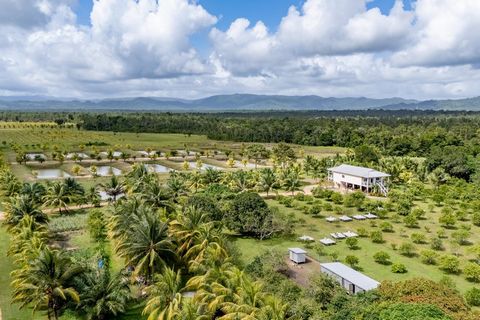 Deep South Farms est une ferme biologique impressionnante, bien entretenue et génératrice de revenus, adjacente à une opportunité de développement résidentiel exceptionnelle de 100 acres qui est prête pour l’expansion. Cette belle ferme bien établie ...