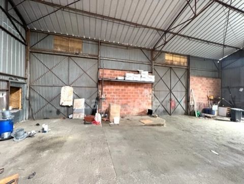photo no. 2