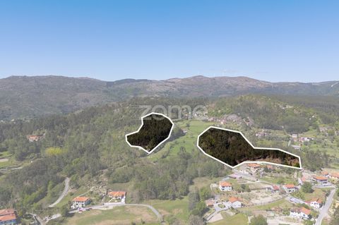 Identificação do imóvel: ZMPT576688 Conjunto de 5 Terrenos com Potencial Construtivo e Florestal – Pinheiro, Vieira do Minho Apresenta-se uma oportunidade rara de aquisição conjunta de cinco terrenos localizados na freguesia de Pinheiro, concelho de ...