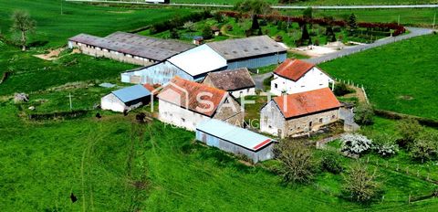 Magnifique propriété agricole de 33 hectares avec 4 hectares de bois à saisir ! Idéal gites, chambre d'hôtes, location de salles, Hivernage caravaning