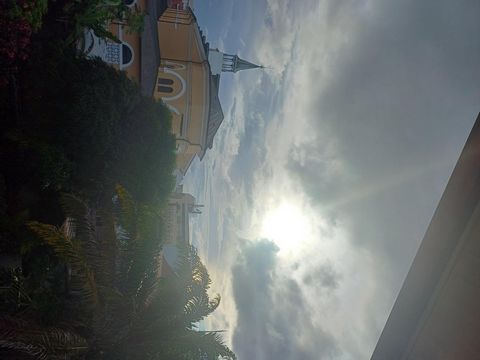 photo no. 12