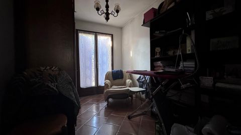 photo no. 17