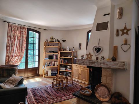 photo no. 11